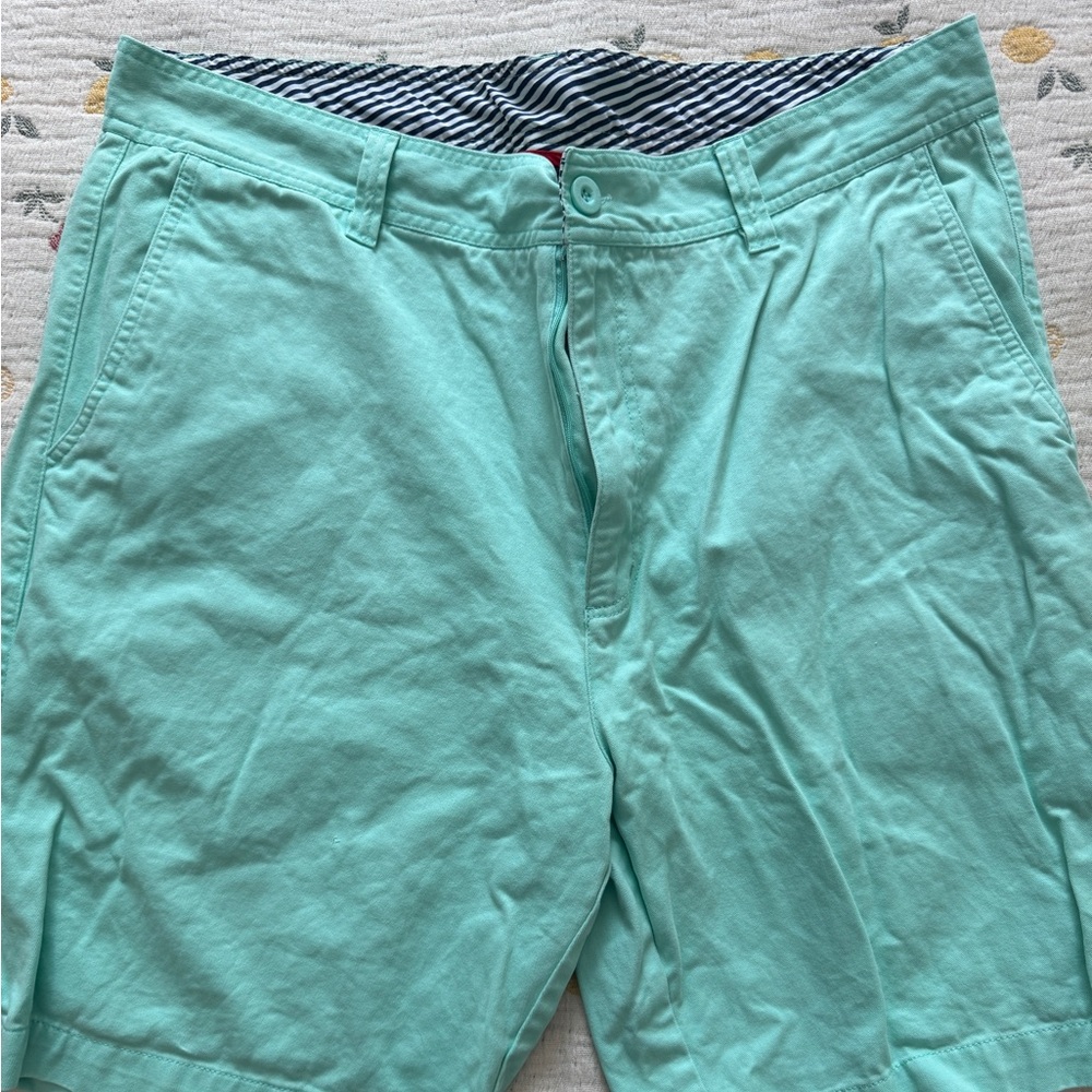 Island Short Mint Green Men's Shorts - 40